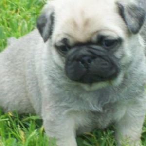 Meet your Posher, Jan